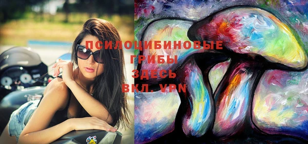 шишки Баксан